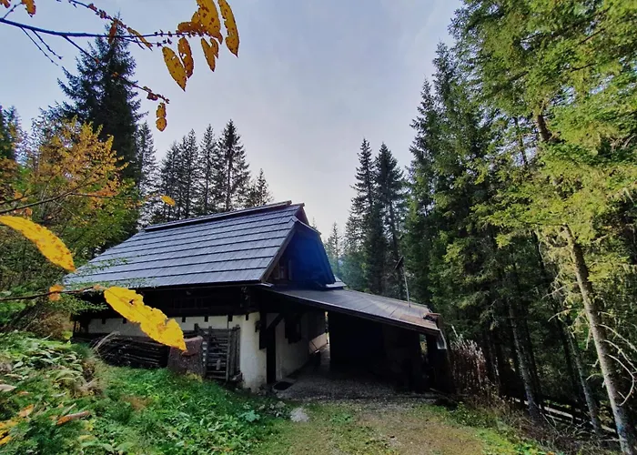 Huettentraum By Globalimmoservice Σπίτι διακοπών Bad Kleinkirchheim